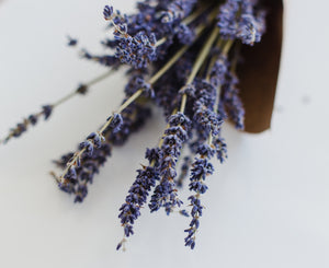 Lavender Perfumes | Clean Fragrances 2023