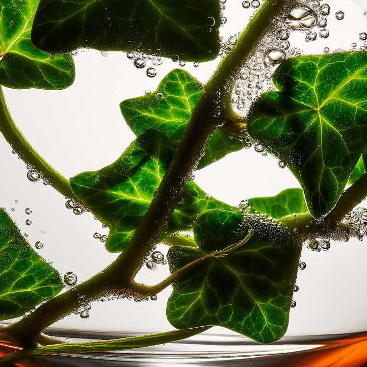 green ivy perfume inspired by diptyque eau de lierre