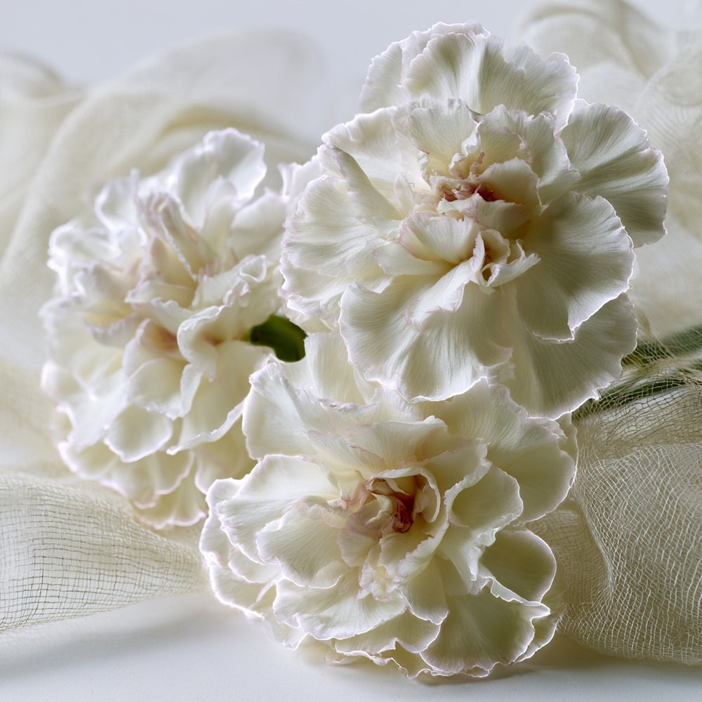 valaya inspired perfume dupe with white florals
