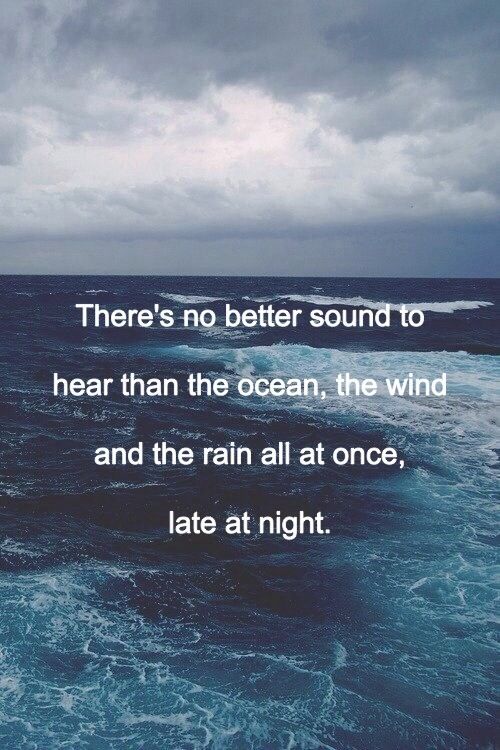 Midnight Surf Aroma