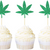 Cannabis + Cupcake Fragrance | Wicked Good