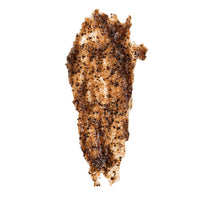 Coffee Scrub | Morning Buzz | Wicked Good Bath + Body