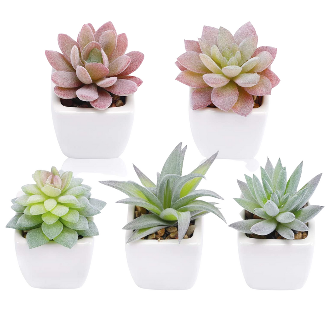 Faux Mini Succulent | Wicked Good Gift Box
