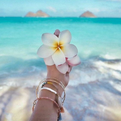 Frangipani Plumeria Perfume Best 2020