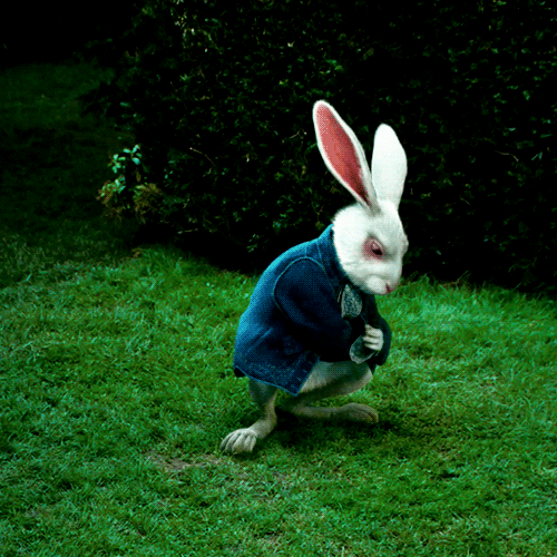 White Rabbit Perfume | Alice in Wonderland  Best 2020